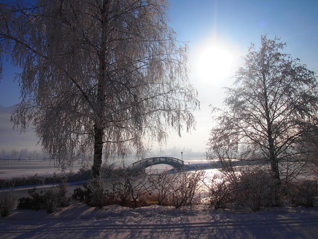 Bauernhof Tischlerwirt